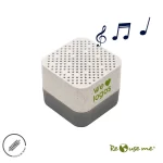 Parlante Wireless Earth